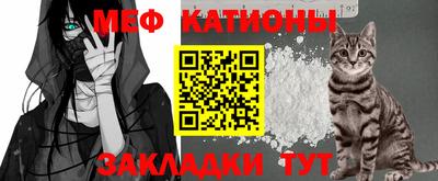 шишки Заволжье