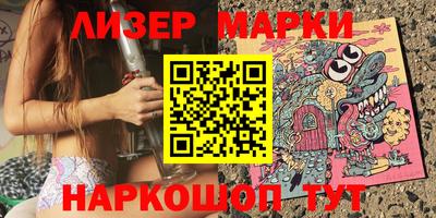 шишки Заволжье