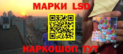 шишки Заволжье