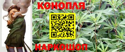 не бодяженный Заводоуковск