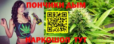 шишки Заволжье